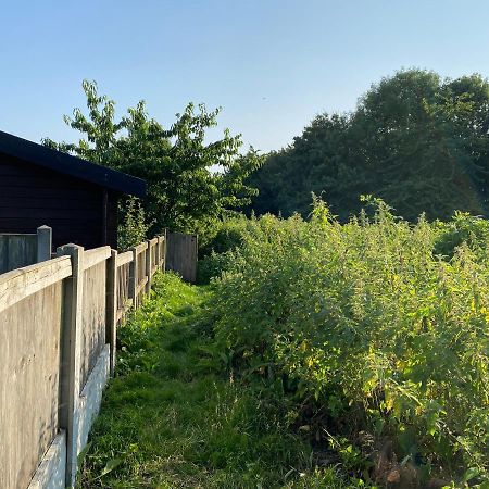 Shrublands Garden Cabin Colchester Exterior foto