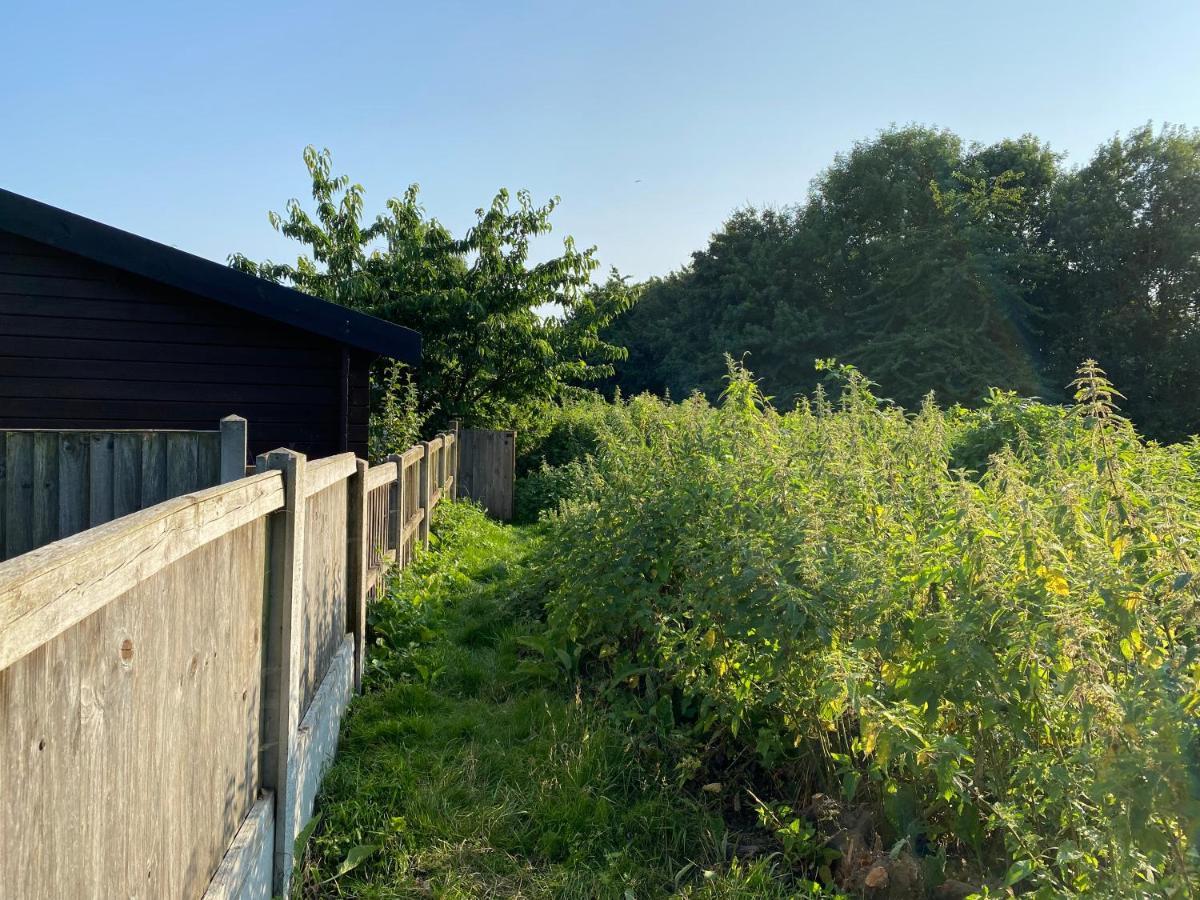 Shrublands Garden Cabin Colchester Exterior foto